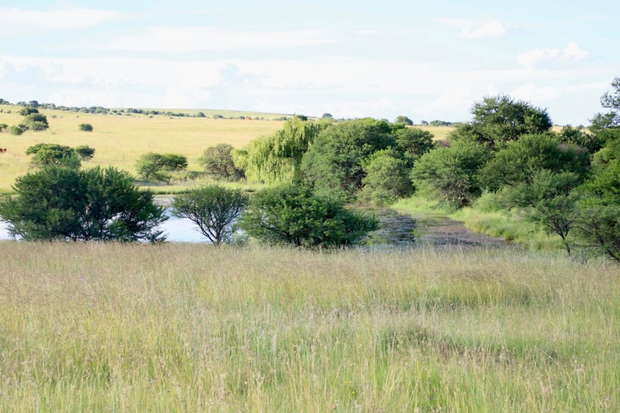 0 Bedroom Property for Sale in Heilbron Free State